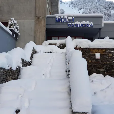 Snow Paradise